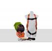 Picture of ARESTA Scaffolder Kit 2S: Double Point, Standard Buckle Harness, Elasticated Webbing Lanyard