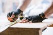 Picture of Scruffs Trade Fingerless Gloves - Black